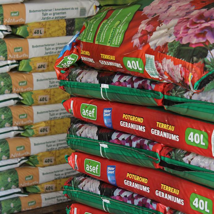 Terreau géranium ASEF.