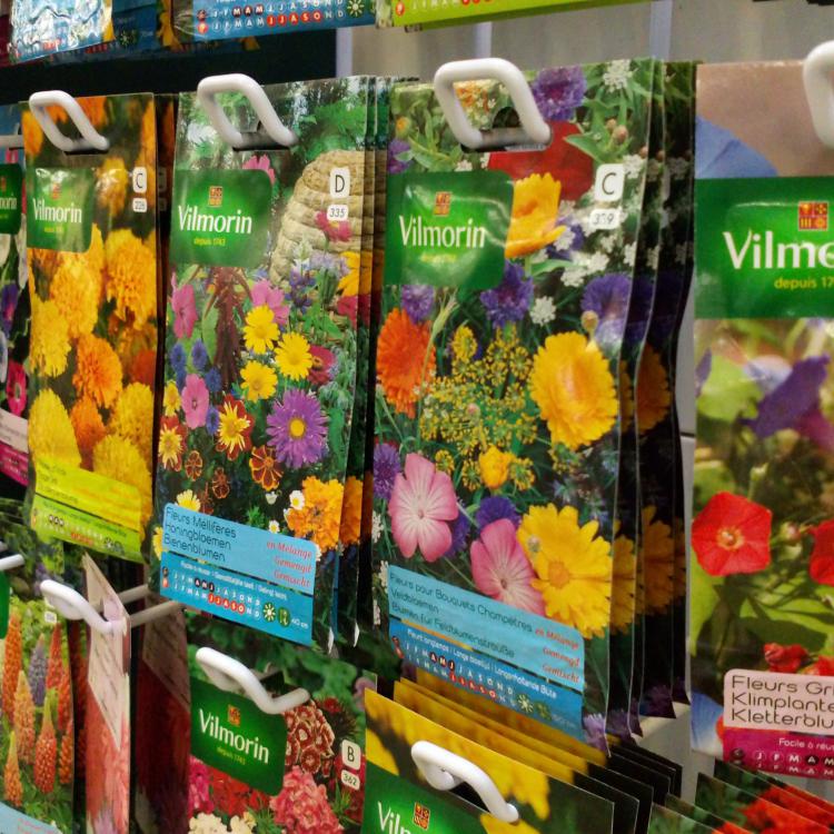 Semences fleurs.